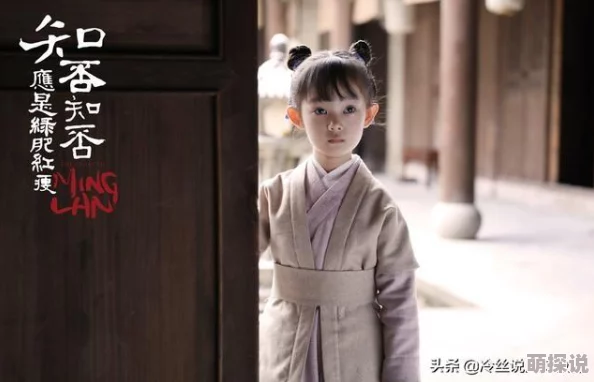 《知否？知否？应是绿肥红瘦》宅斗经典，盛明兰的成长故事引人入胜