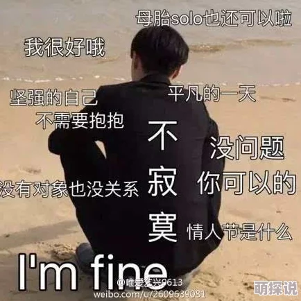 《虐之恋》有人说爱到极致就是虐，也有人表示太狗血难以接受