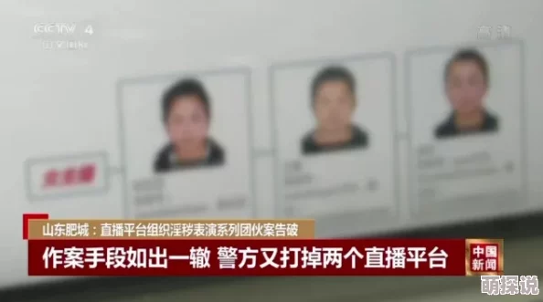 台湾成人导航涉嫌传播非法色情内容已被警方查处