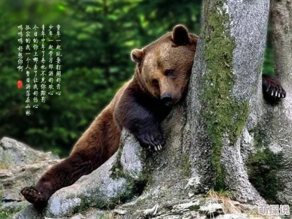 欧美人与牲禽xxxxx传播疾病虐待动物引发道德争议