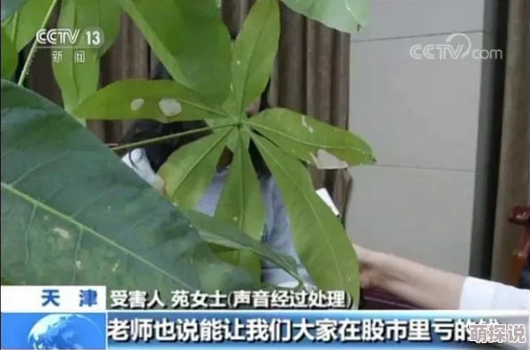 公园小树中老年交易图片应用场景曝光老年人被骗子以投资养老项目为由诈骗钱财