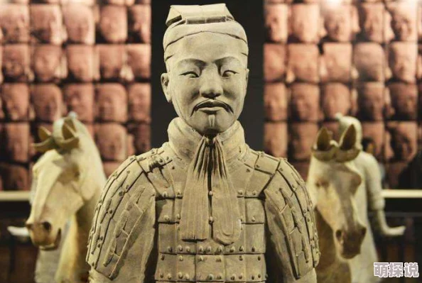 哦┅┅快┅┅用力啊少年┅考古学家发现秦始皇陵陪葬兵马俑竟是活人俑