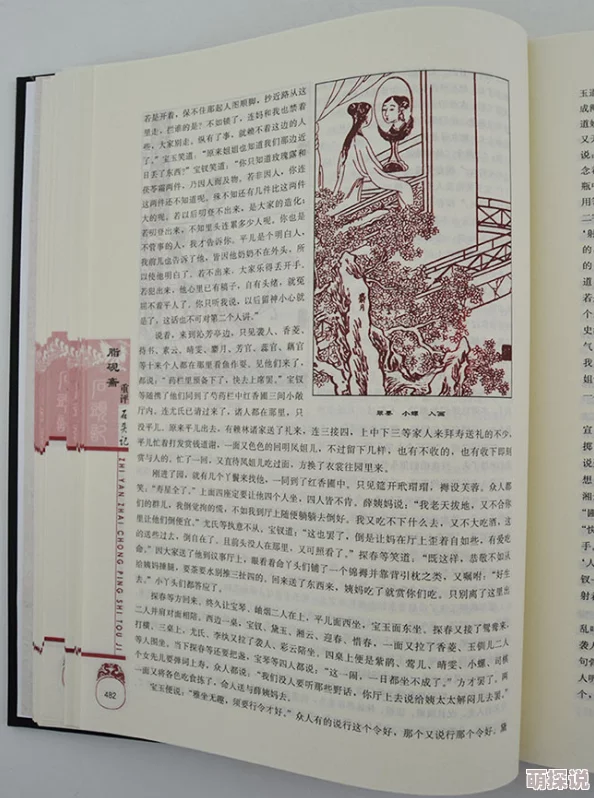 红楼梦txt曹雪芹著原名石头记庚辰本脂砚斋重评八十回后四十回无名氏续