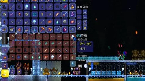 泰拉瑞亚老奶奶宠物PE版独占：入住与获取技巧深度解析2024