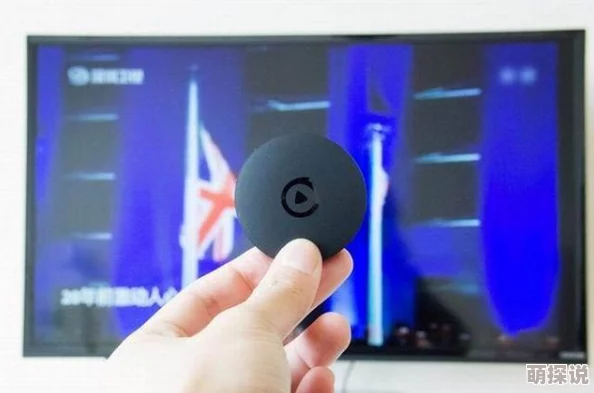 真实的和子乱拍视频网站精彩内容每日更新不容错过