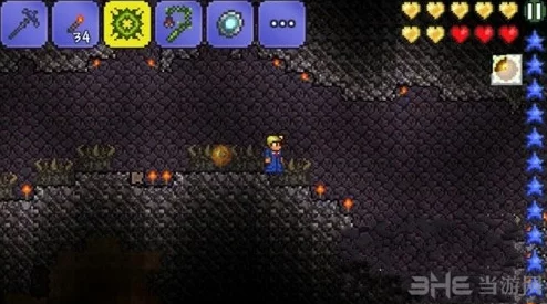 泰拉瑞亚热门配饰：琥珀马掌气球获取及作用详解