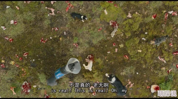 东西向洞2蘑菇中字画面太美不敢看尺度有点大