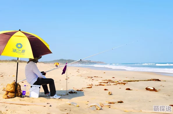 海岛战争：全面解析领地建筑高效升级流程