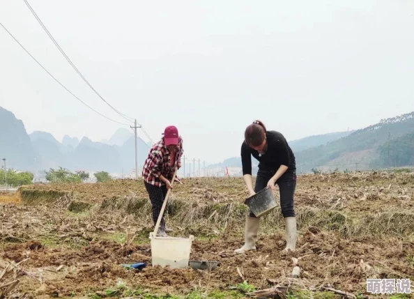 耕种妈妈肥沃的土地摄影作品征集关注乡村女性赢取万元大奖