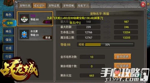战龙城HD宠物技能大揭秘：萌宠or猛宠？最新热门宠物全解析！