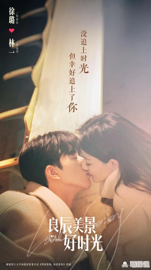 良辰美景好时光电视剧全集免费观看资源真假难辨谨防盗版链接保护个人信息安全