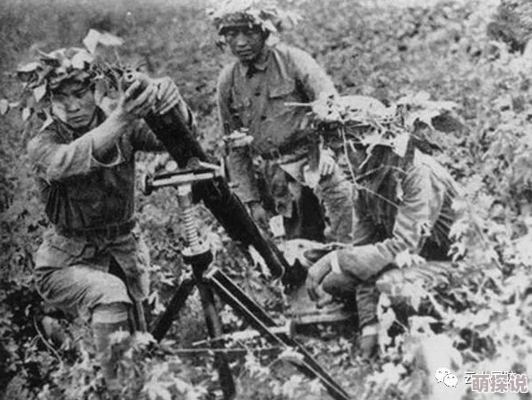 全民炮炮兵后勤中心：最新热门玩法揭秘与作用深度解析