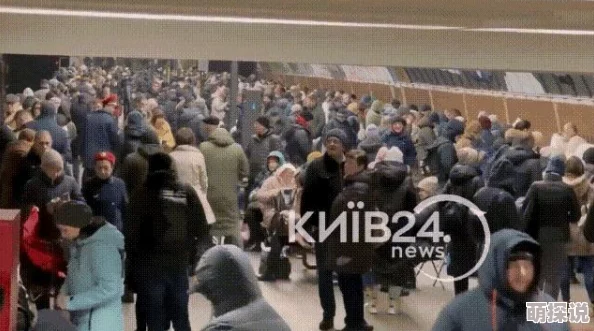 2024辐射避难所储藏室：全面解析其最新热门作用与技巧详解