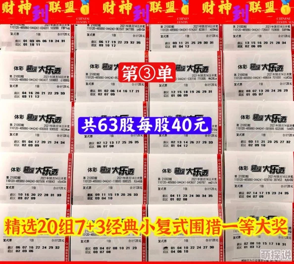 精华布衣精华123456今天正版版本真伪性与玩法技巧深度探索分析及玩家社区讨论