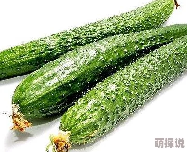 草莓绿巨人丝瓜香蕉黄瓜视频大全网友称内容低俗无聊浪费时间建议大家不要观看