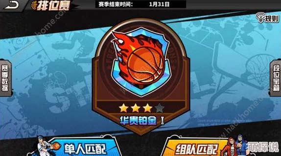 街头篮球手游热门球员海盗全面属性深度解析
