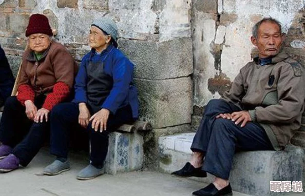 老有所依网友热议如何保障老年人生活质量构建和谐社会