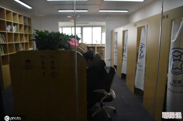 考研咨询在线部分机构收费高昂效果不佳需谨慎选择