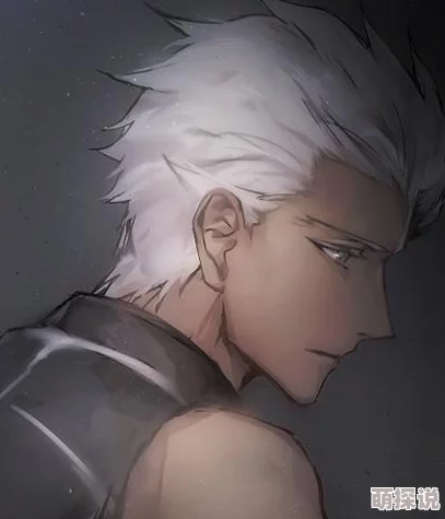 命运冠位指定：Archer阿尔托莉雅优缺点全面热门分析