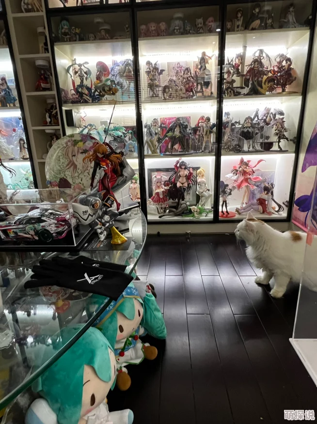 213hm红猫大本营请点击据说站长是位神秘富婆养了三百只猫还收藏限量版手办