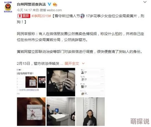 男插女视频网站传播非法色情内容已被警方查封