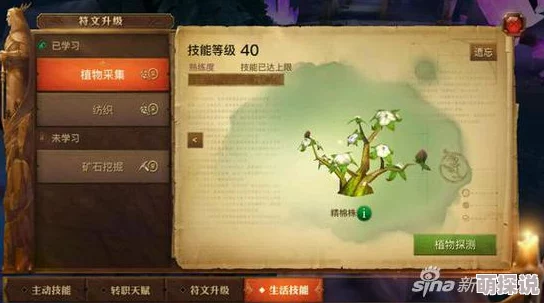 2024光明大陆生活职业全解析:采集、制作材料与热门玩法指南 2024光明大陆生活职业全解析:采集、制作材料与热门玩法指南