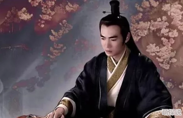 榜下贵婿小说科举之路金榜题名洞房花烛夜的古代爱情故事