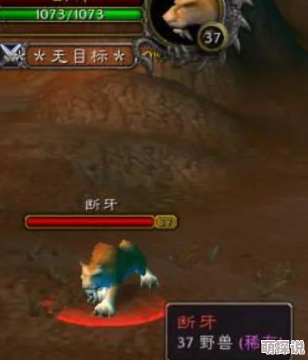 猎人焦点误导宏TBC怀旧服可用竞技场副本均适用