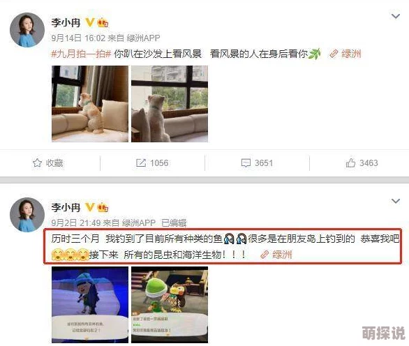 又硬又粗进去爽A片大学生新增高清无码版本画质提升体验更佳