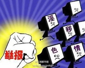 日本黄色网站免费网友称此类信息传播泛滥且内容低俗危害青少年