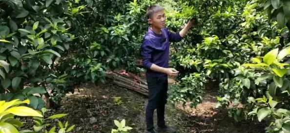 长兄为父过早承担家庭重担易致心理压力大影响个人发展