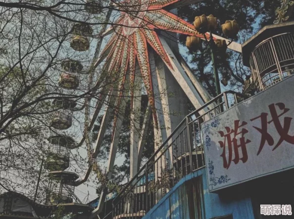 很黄很暴力的动态图据说拍摄地是废弃游乐场知情人士透露主演竟是某网红情侣