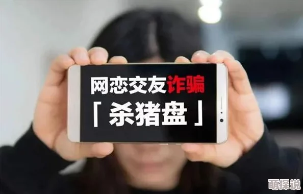 网恋翻车指南酱子贝警惕杀猪盘和感情骗子保护好自己