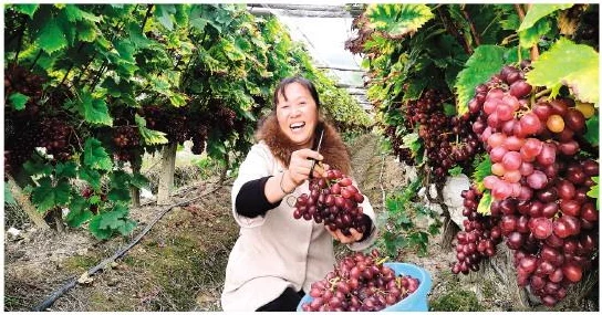 首富家的小奶包萌到吐奶网友：可爱暴击，甜度超标，想组团去偷娃