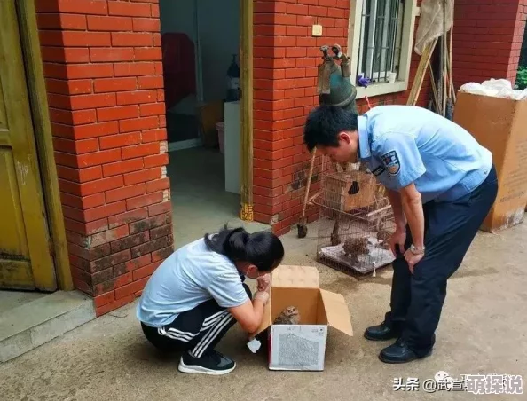 疯狂动物园喇叭嘴：追梦翱翔，新时代有梦想的鸟才领风骚