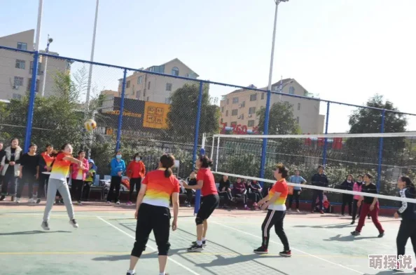 炉石传说天天素材库29期：热门新战术曝光，你倒是快上小马啊！