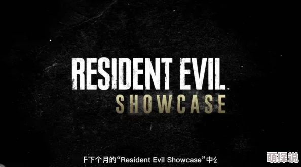 生化危机9重制版RE99画面精美但流程略短期待后续DLC 生化危机9重制版RE99画面精美但流程略短期待后续DLC