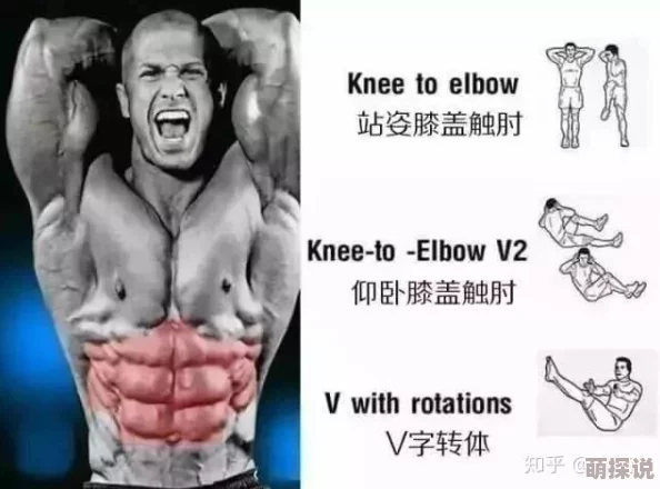 腹肌照马甲线人鱼线养成计划分享塑形指南告别小肚腩