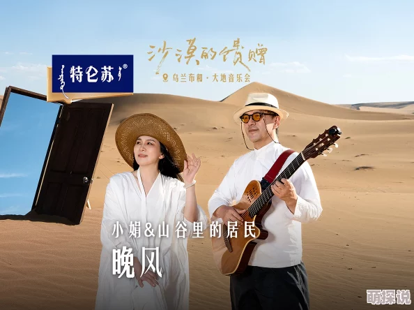 王小黑骆驼之歌原唱完整版聆听大漠之音感受天籁嗓音