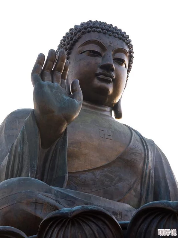 久久久这里只有精品视频反思低俗内容传播倡导健康网络环境