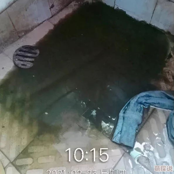 一夲道无码专区av无码AV片已被举报并查处相关网站及人员已被依法处理