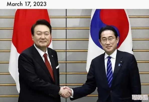 钢铁黎明手游：机甲定位、养成方法及技巧深度全解析2024