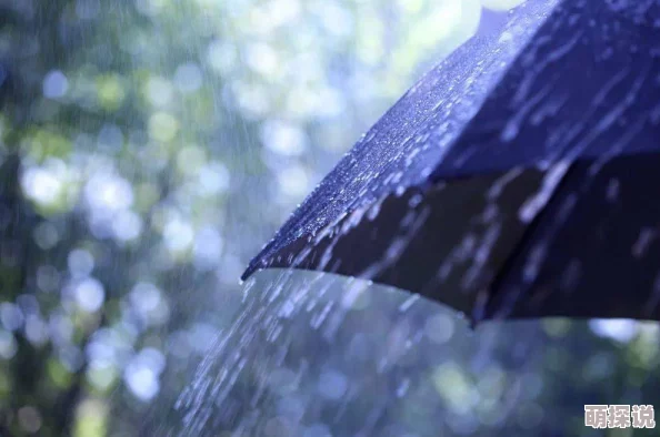 末世盗贼行雨夜带刀不带伞