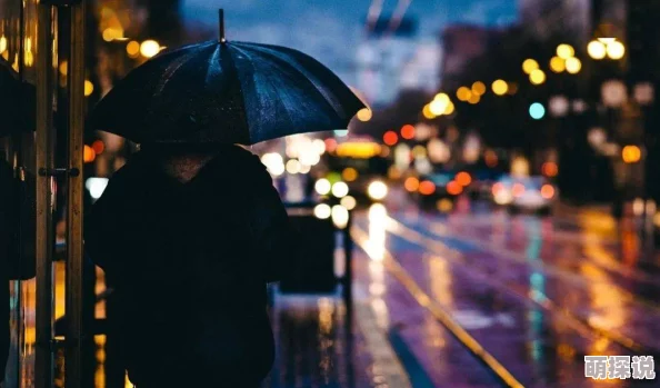 末世盗贼行雨夜带刀不带伞