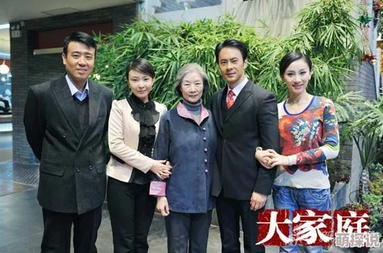 大家庭电视剧免费观看完整版画质模糊剧情拖沓浪费时间