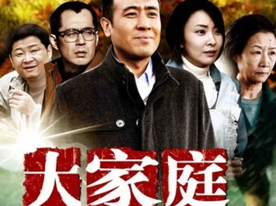 大家庭电视剧免费观看完整版画质模糊剧情拖沓浪费时间