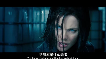 欧美性大片画面尺度大剧情无聊浪费时间