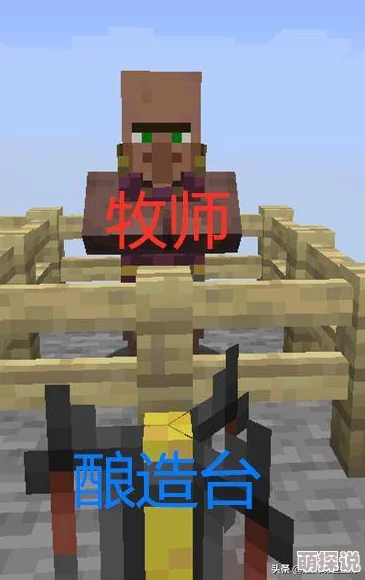 《我的世界》腐竹角色揭秘：管理员身份与职责新解析
