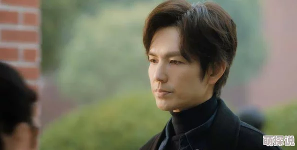 情与缘电视剧全集在线观看剧情感人至深演员演技在线值得一看