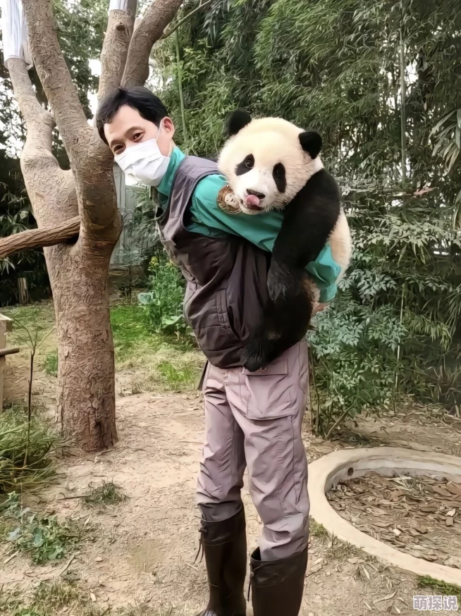 性福宝a疑似与神秘富商海外度假同游
